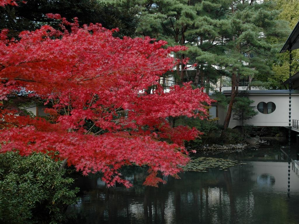Matsusaki Nomi Exteriör bild