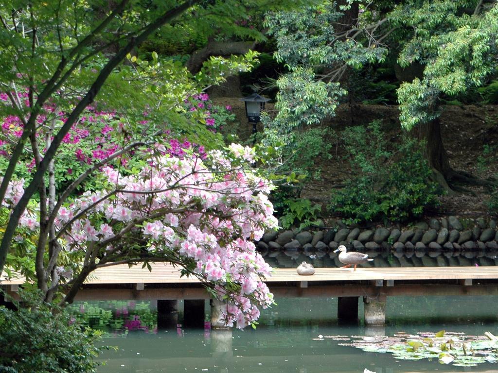 Matsusaki Nomi Exteriör bild