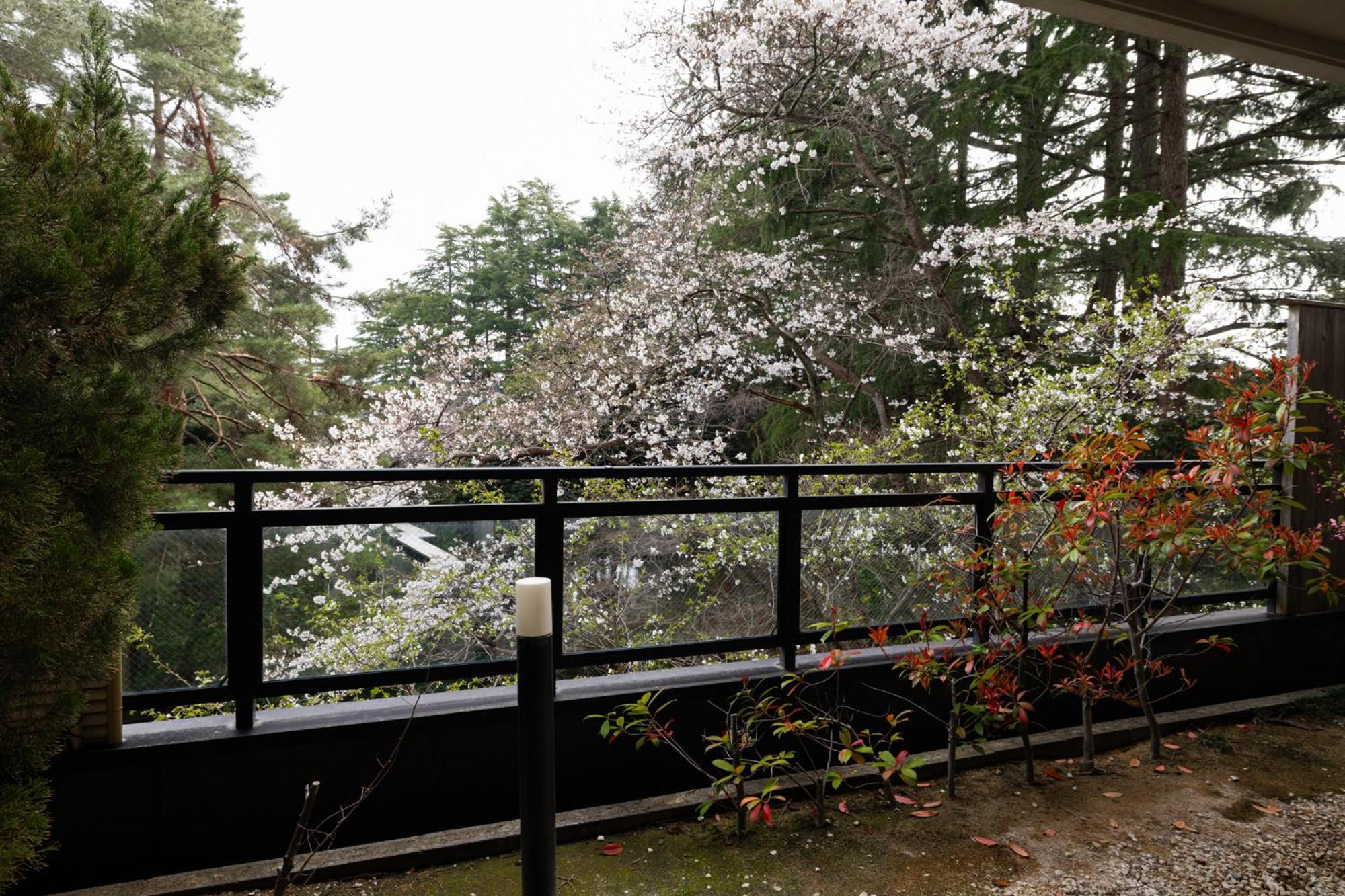 Matsusaki Nomi Exteriör bild