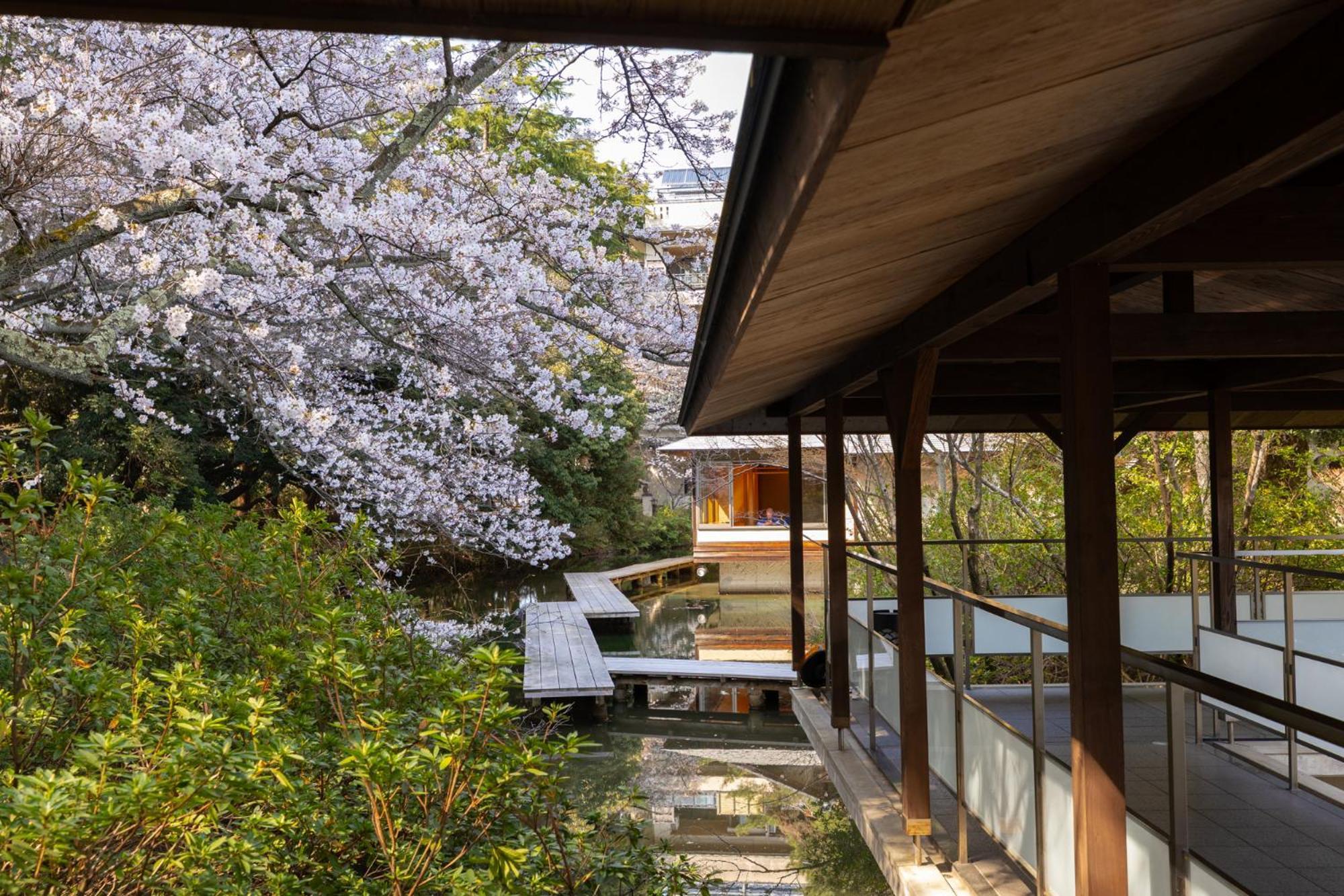 Matsusaki Nomi Exteriör bild